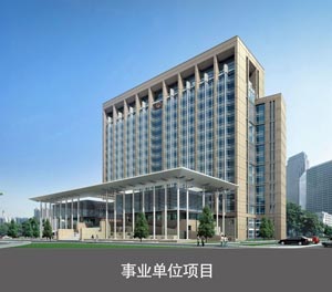家用簡易式機械麻豆精品在线播放位事業單位項目